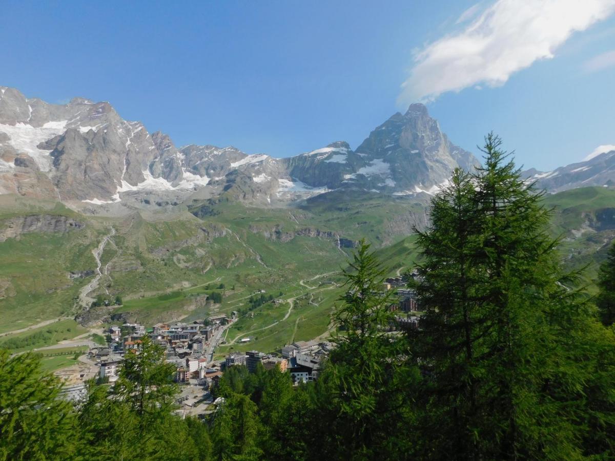 Il Gioiello Di Cervinia Apartment Breuil-Cervinia Ngoại thất bức ảnh
